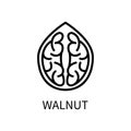 Icon Walnut Line Simple Style. Kernel Is A Nut Shell. Source of vegetable milk. Vector sign in a simple style isolated Royalty Free Stock Photo