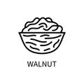 Icon Walnut Line Simple Style. Kernel Is A Nut Shell. Source of vegetable milk. Vector sign in a simple style isolated Royalty Free Stock Photo