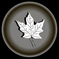 Icon white maple leave on grey plate.