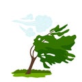 The icon of the wind that bends the green tree. concept of weather, tornado and other elements of nature. flat vector Royalty Free Stock Photo