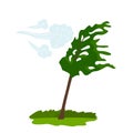 The icon of the wind that bends the green tree. concept of weather, tornado and other elements of nature. flat vector Royalty Free Stock Photo