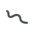 Color illustration icon for Worm, earthworm and creep