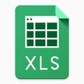 XLS flat style file type pictogram