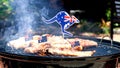 Iconic Australian BBQ close up