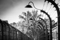 Iconic barber wire fencing and lighting Iconic barber wire and electric light, Auschwitz Concentration Camp, Poland