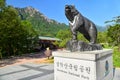 Iconic Bear Statue at the Entrance of Seoraksan National Park