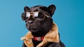 Generative AI, Sunglasses Vibes: Black Panther on a Pastel Adventure Royalty Free Stock Photo