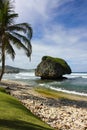 Iconic Caribbean beach view from Bathsheba beach park Barbados. Royalty Free Stock Photo