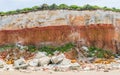 Iconic cliffs of Hunstanton Royalty Free Stock Photo