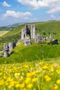 Corfe Castle during a sunny day in sprin time