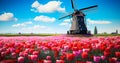 Iconic Dutch Landscape Windmill and Tulips Royalty Free Stock Photo