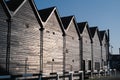 Iconic fishermen huts in black wood in Whitstable harbour, Kent, Uk