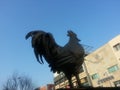 Iconic Golden Rooster sculpture in Chuncheon city