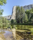 Reflecting on El Capitan - Yosemite National Park, California Royalty Free Stock Photo