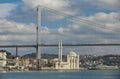 Istanbul view of The Bridge and The Mosque Royalty Free Stock Photo