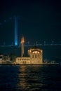 Istanbul view of The Bridge and The Mosque at night Royalty Free Stock Photo