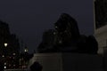 Iconic Lion Statue from Trafalgar Square with Big Ben in the Background during on overcast night concept for British Legacy,