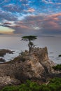 Iconic Lone Cypress tree perched on granite hillside, 17 Mile Drive, Pebble Beach, California Royalty Free Stock Photo