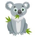 Iconic Marsupials. Koala Bear On Green Leaves. Australian Animal Funniest Herbivore Sitting On Eucalyptus.