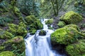 Iconic Moss covered rocks at stream in Oregon, Columbia River Gorge popular with tourists Royalty Free Stock Photo