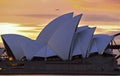 Sydney Opera House and Harbor Scenic Sunset View Royalty Free Stock Photo