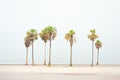 iconic palm trees in a coastal hardiness zone