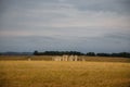 Iconic prehistoric monument Stonehenge in Salisbury Plain, UK, a wonder of the ancient world Royalty Free Stock Photo