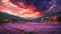 Iconic Radiance: Awe-Inspiring Lavender Fields at Dusk