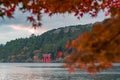 An iconic red gate of Hakone jinja shrine standing in Lake Ashi with blurred red maple leaves