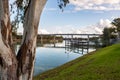 An iconic red gum tree on a calm river murray located in the river land at Berri South Australia on 20th June 2020 Royalty Free Stock Photo