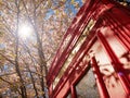 Spring time in London - Blossom by the Red Phone Box Royalty Free Stock Photo