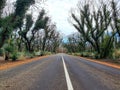 Iconic Kangaroo Island Road after Bushfires