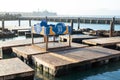 The iconic sea lions at Pier 39 in San Francisco