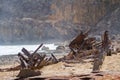 The iconic shipwreck of the SS Ferret and Ethel had the sand uncovered by a large storm on Ethel Beach, Yorke Peninsula, South Au