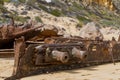 The iconic shipwreck of the SS Ferret and Ethel had the sand uncovered by a large storm on Ethel Beach, Yorke Peninsula, South Au