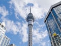 Iconic Sky Tower modern skyscrapers Auckland NZ