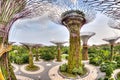 Iconic Supertree Grove at Gardens by the Bay