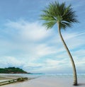 Coconut tree on a beautiful clear green water beach of Redang island under a morning light blue cloudy sky