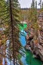 Iconic Athabasca Falls View Royalty Free Stock Photo