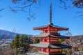 The iconic view of Mount Fuji with the red Chureito pagoda and Fujiyoshida city from Arakurayama sengen park in Yamanashi Royalty Free Stock Photo