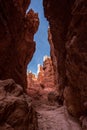 Iconic Wall Street gorge in the Bryce Canyon valley in Utah