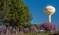 Iconic Water Tower in Meridian Idaho with pine trees and blue sky