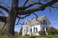 Iconic White House and Tree