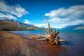 The Iconic Willow Trees of Glenorchy taken during sunrise at Glenorchy, Otago region, New Zealand. Royalty Free Stock Photo