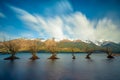 The Iconic Willow Trees of Glenorchy taken during sunrise at Glenorchy, Otago region, New Zealand. Royalty Free Stock Photo