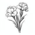 Iconographic Symbolism: A Black And White Bouquet Of Dianthus Flowers