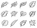 Leaves icon set. Calligraphy style.