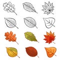 Icons of autumn leaves or autumn foliage. Vector isolated set of maple, oak or birch and rowan leaves. Royalty Free Stock Photo