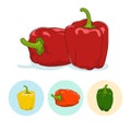Icons bell pepper,sweet pepper or capsicum