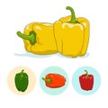 Icons bell pepper,sweet pepper or capsicum